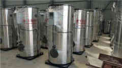 燃?xì)忮仩t蒸汽發(fā)生器